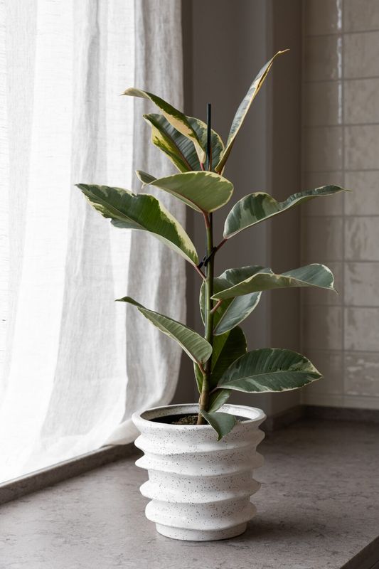 Havsnäs potte Hvit 20cm