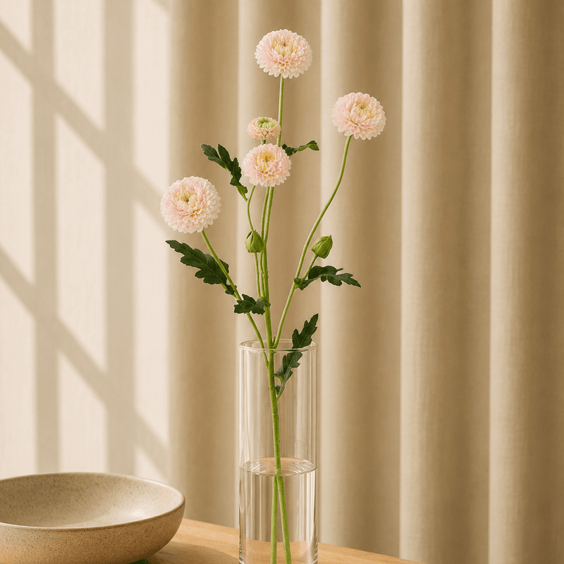 Chrystantium Dus rosa 60cm