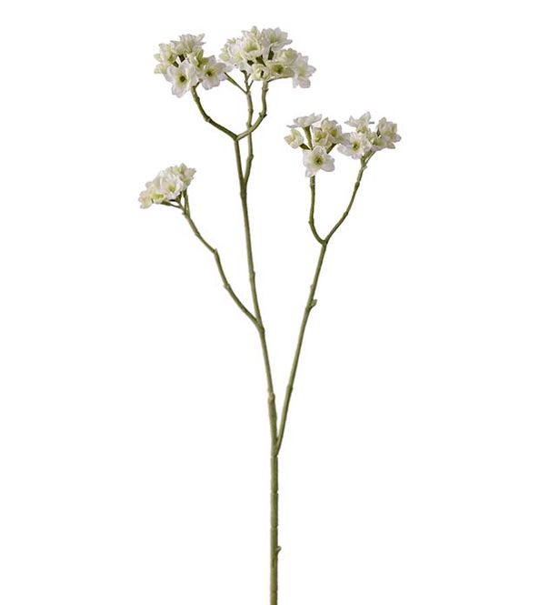 Hovedbilde Blomsterkvist Hvit