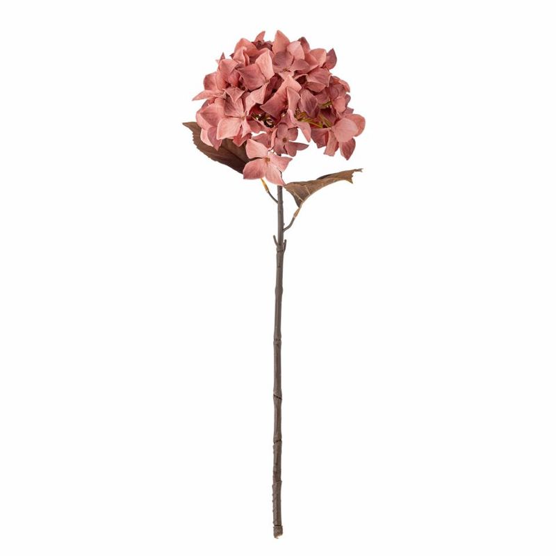 Hortensiastilk, rose