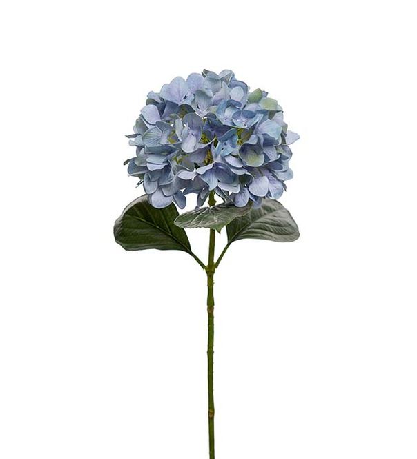 Hovedbilde Hortensia Blå 65cm