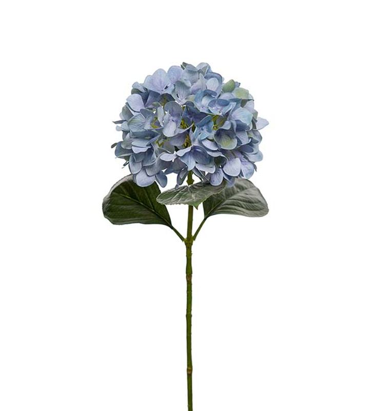 Hortensia Blå 65cm