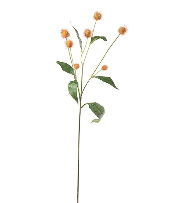Hovedbilde Tistel 58cm