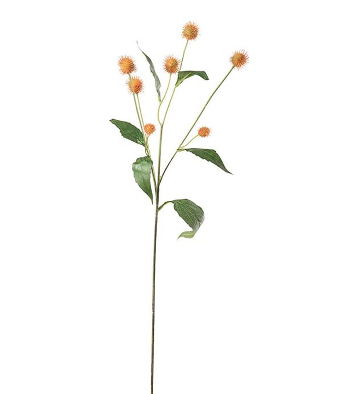 Tistel 58cm