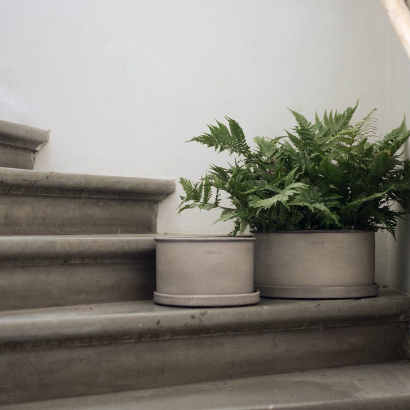 Plantbowl Beige small