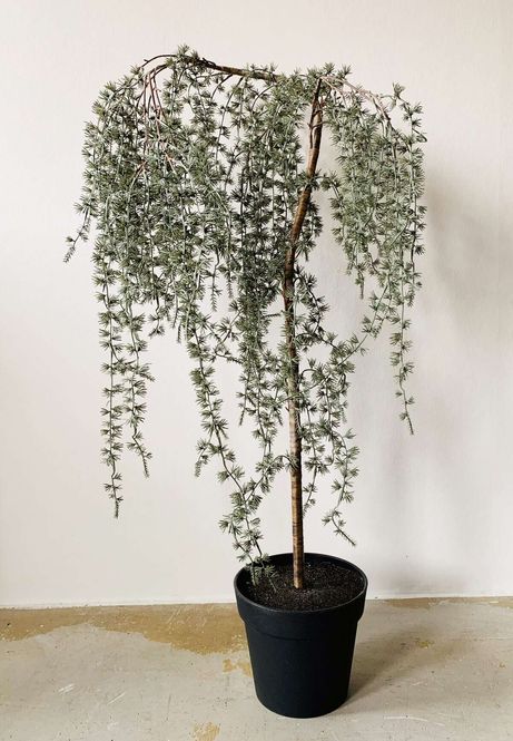 Hovedbilde Hengelerk 125cm