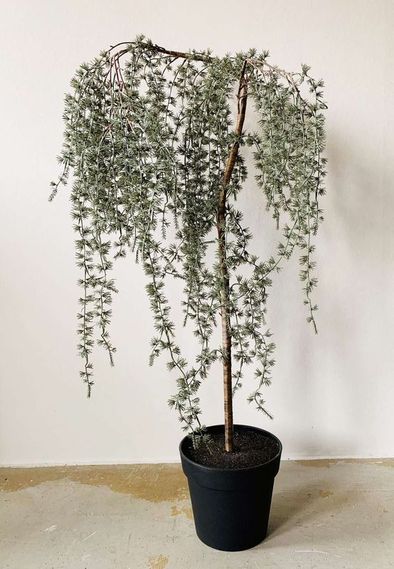 Hengelerk 125cm