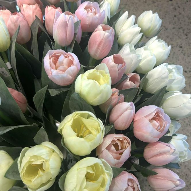 Hovedbilde Tulipanbukett Mix ass. farger 