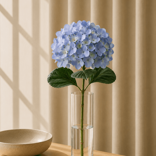 Hovedbilde Hortensia Blå 65cm